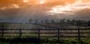Country evening